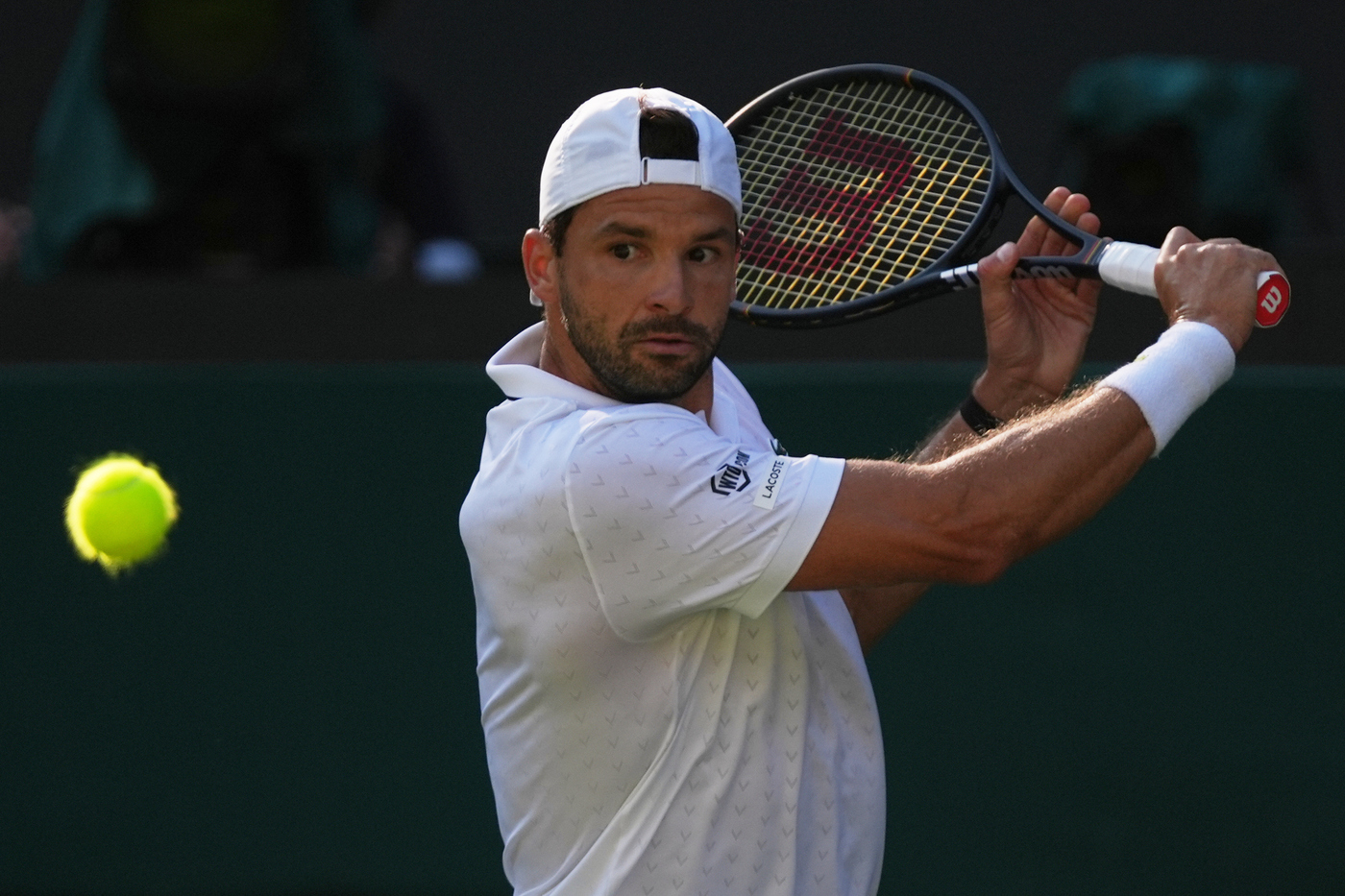 Il quarto giorno di Wimbledon 2026: l'Italia avanza in tre, Dimitrov e Zverev proseguono